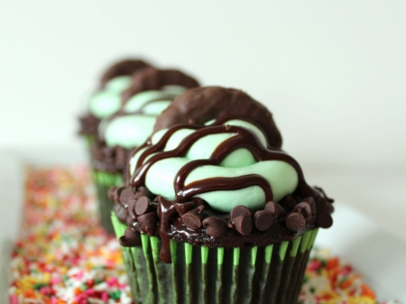 Chocolate Chips Cupcakes - cupcake, cream, delicious, dessert, food, sweet, chocolate