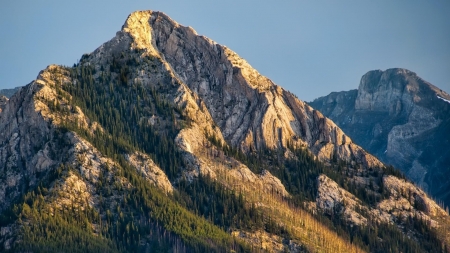 tree covered stone mountains - stones, mountain, trees, cliffs