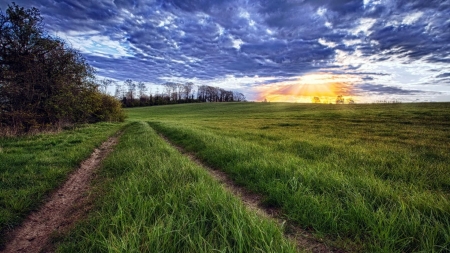 sundown over a grass field hdr - sundown, clouds, tracks, hdr, field, grass