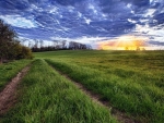 sundown over a grass field hdr