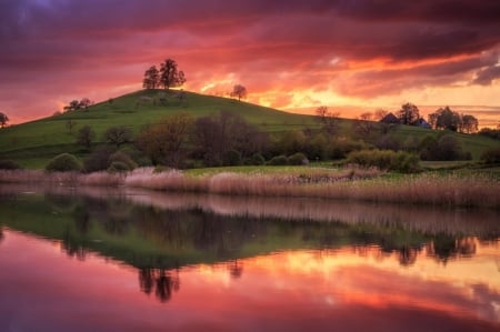 â™¥ - sky, trees, nature, reflection