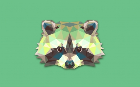 Raccoon - minimalism, animal, raccoon, texture, abstract, green