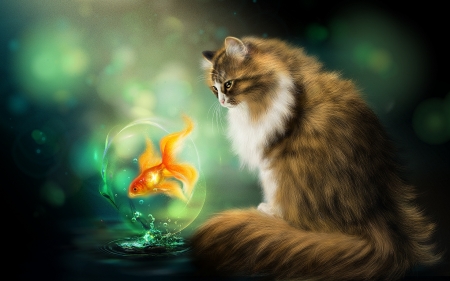 The cat and the golden fish - cat, water, pisica, golden fish, fantasy, bubble, art, luminos, orange, green, animal, alenaekaterinburg