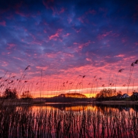 The Evening In Village