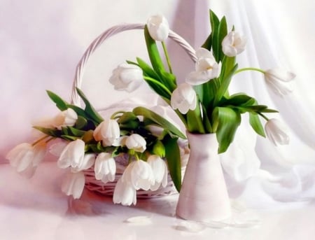 Vase with Tulips - vase, basket, tulips, white, still life