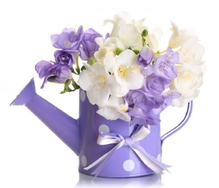 purple water can with spring flowers