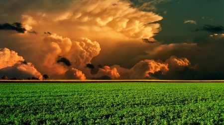 magnificent clouds over a green field - fields, colors, clouds, green