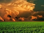 magnificent clouds over a green field