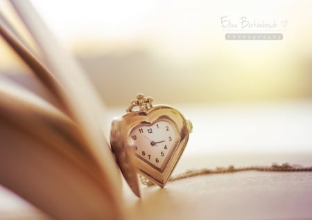 ♥ - abstract, watch, photography, book