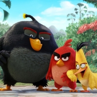 The Angry Birds Movie