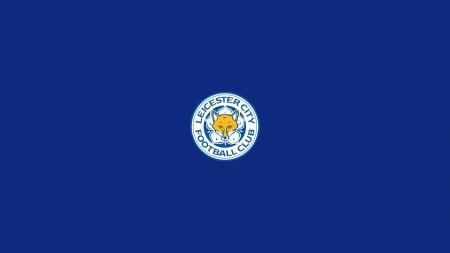 Leicester City - sports, premier league, football, team, soccer