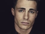 Colton Haynes