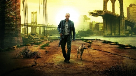 I Am Legend - actor, American, post apocalyptic, I Am Legend, movie, Will Smith, film