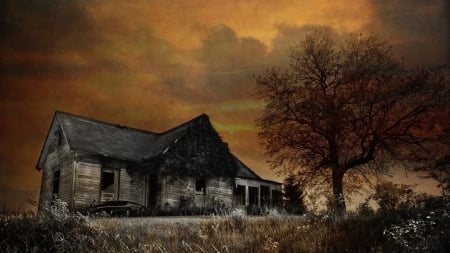 abandoned old house - house, abendoned, brown, old, tree