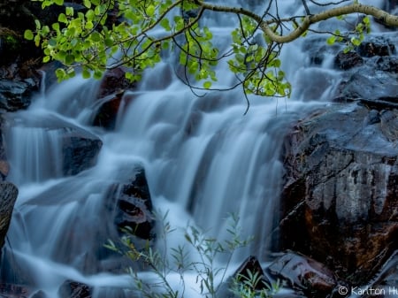 Mountain Falls - water, nature, waterfall, stream, foliage, rocks, branchs