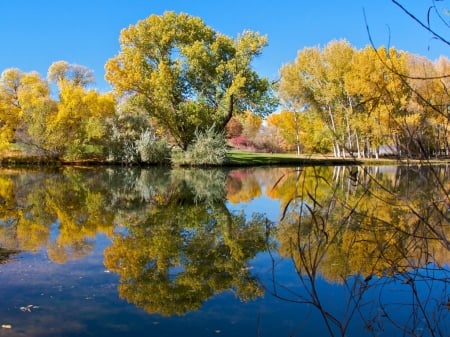 Lake in Reflection - lake, pond, reflection, trees, nature, park, autumn