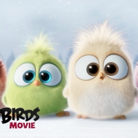 The Angry Birds Movie