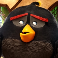 The Angry Birds Movie