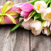 Tulips and gift