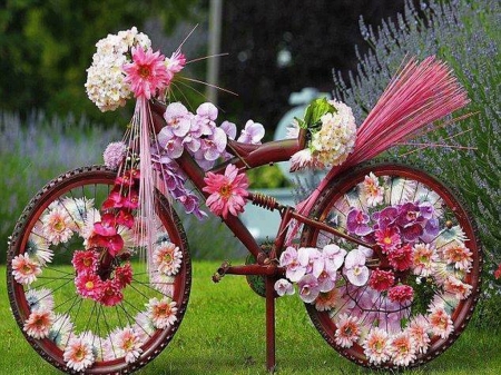 Spring journey - decorated, flowers, bike, spring