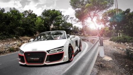 2014 Audi R8 4.2 Spyder - street, auto, road, custom, 2014, spyder, tuned, audi, car, r8, trees