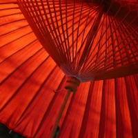 Red Parasol