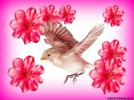 PRETTY IN PINK - creation, pink, pretty, bird