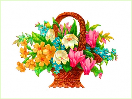 Blooming basket - pretty, flowers, basket, blooms