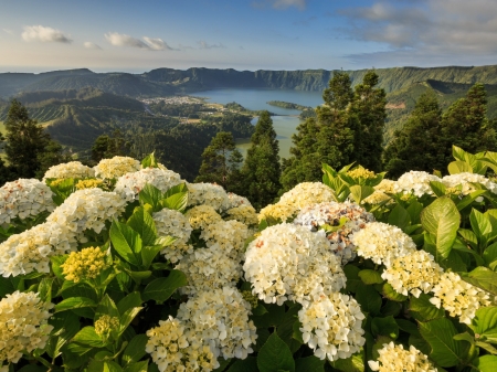 Lagoon of the Seven Cities - nature, lake, valley, trees, mountain, forest, flowers