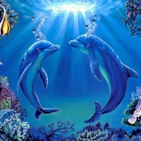 DOLPHIN LOVE