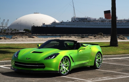 Limelight Green Widebody Corvette - Bowtie, GM, Custom, Green