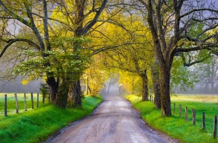 Cades Cove Great Smoky Mountains - path, road, beautiful, spring, grass, cove, fence, scene, trees, mist, mountain