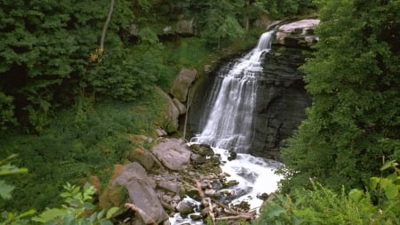 Waterfall - river, water, nature, Waterfalls, green, flora