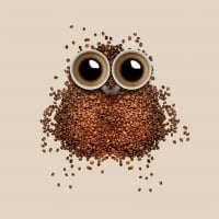 Coffee Owl!