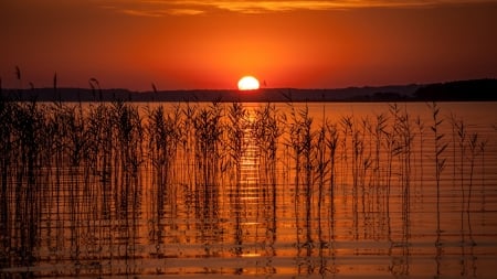 Summer Sunset - sky, lake, silhouette, sun