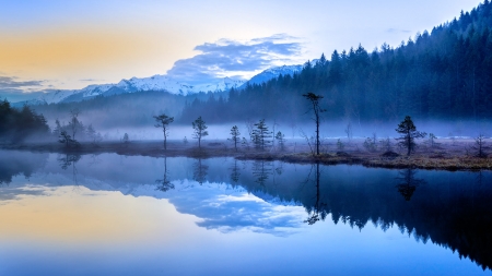 Colorful Nature - lake, winter, forest, fog