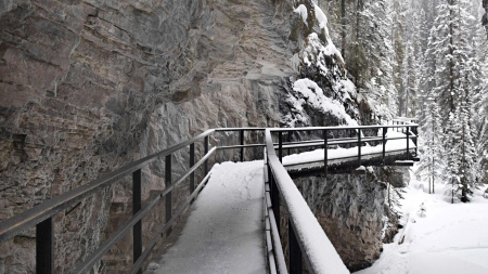 Snowy Walkway - man made, nature, wood, landscape, snow, mountain, walkway