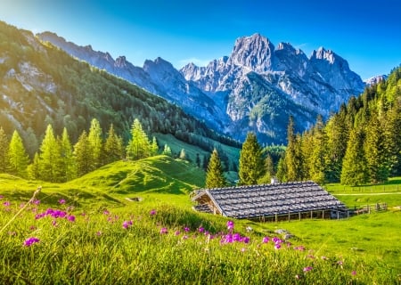 Mountain landscape - cottage, slope, sky, freshness, trees, peaceful, countryside, spring, house, grass, landscape, mountain, hills, summer, tourism, beautiful, cabin, wildflowers