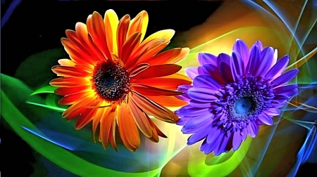 Abstract Daisies - art, abstract, pretty, flowers, flower