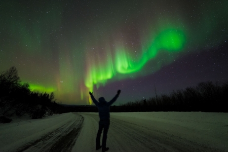 Northern Lights over Fairbanks, Alaska - sky, snow, winter, colors, road