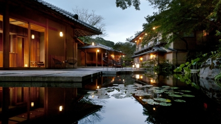 Water Garden - garden, water, photography, water garden, peaceful