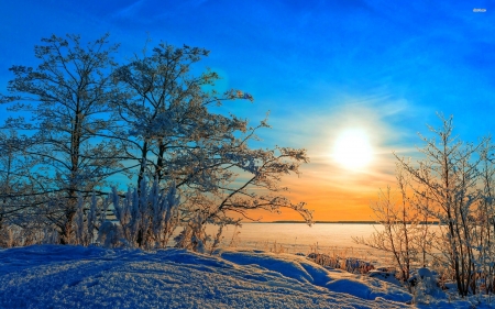 golden sunset on the winter field - winter, field, sunset, snow