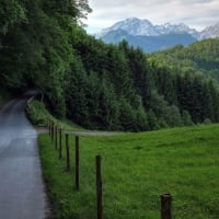 road lost in dense green forest