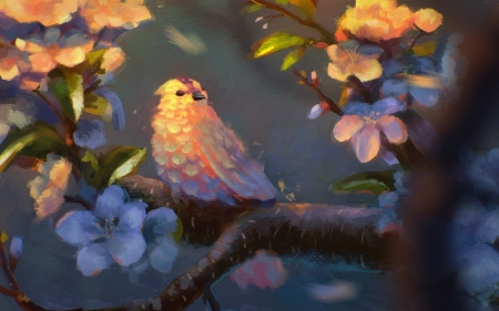 Spring morning - sylar113, branch, spring, bird, art, sakura, luminos, blossom, orange, fantays, flower