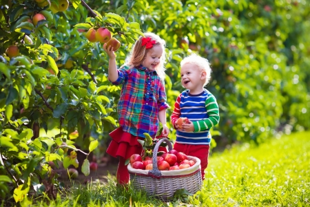 Children apples