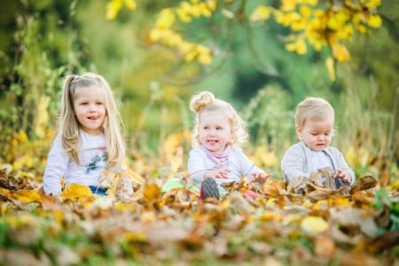 Early fall - a, cu bobocii, toamna, inceput