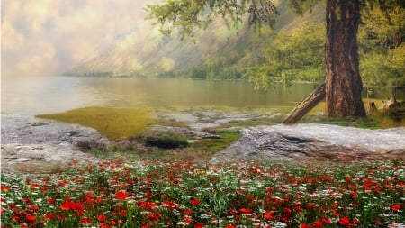 Lake in the Meadow - wild flowers, lake, trees, serene, summer, mountains, spring, relaxing, madow, flowers, pond