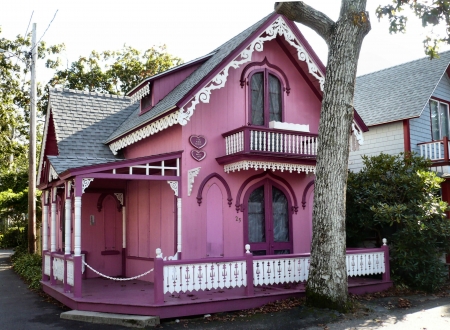 1864 Pink House - scenery, beautiful, photography, photo, cityscape, architecture, wide screen