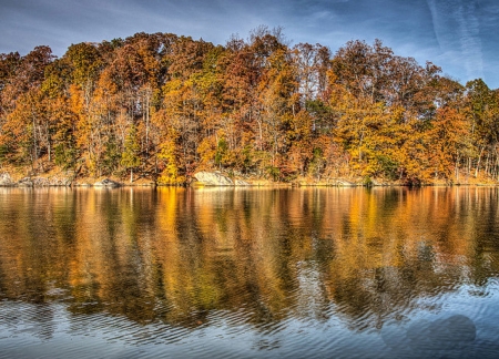 Bay Roc Reflection - trees, nature, autumn, forest, reflection, bay