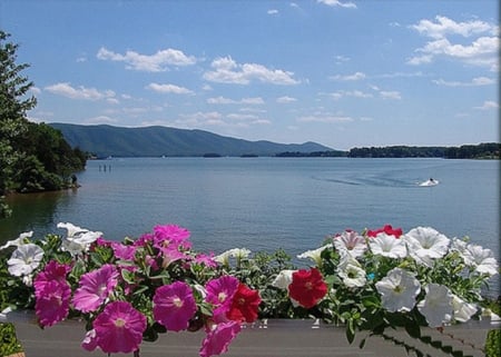 Grand Summer Lake View - flowers, clouds, trees, nature, summer, lake, mountains